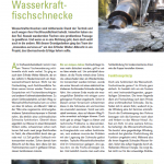 Wasserkraft Medienbericht über Fischleiter